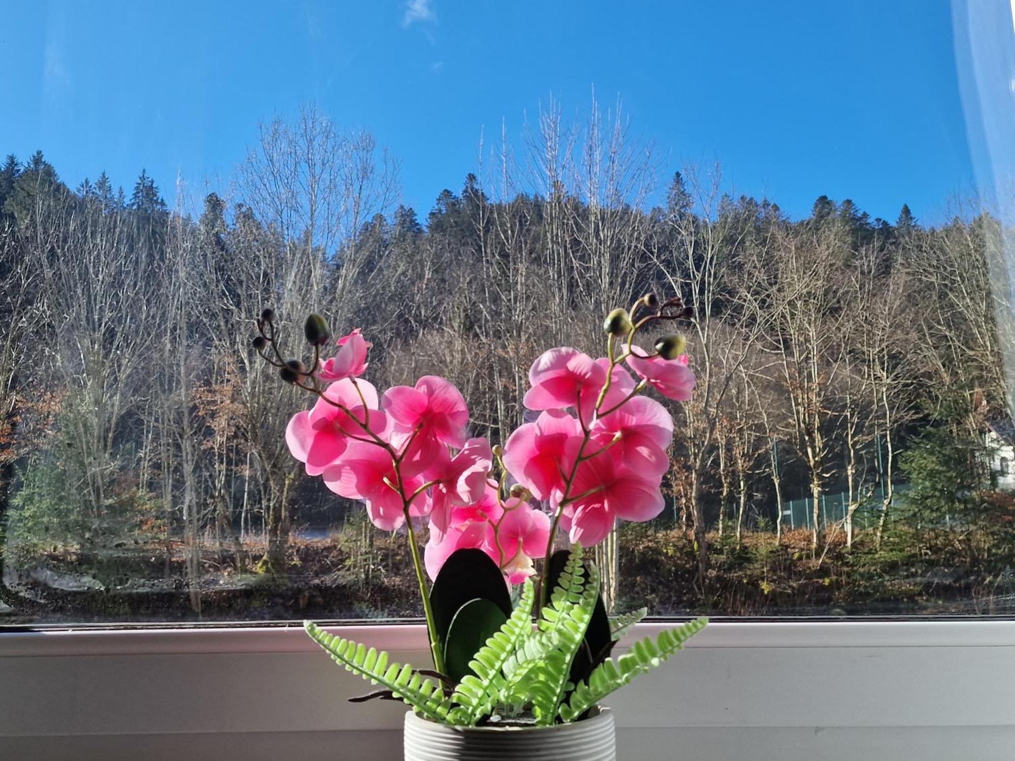 Holiday Apartment Near Triberg Waterfall Triberg im Schwarzwald Exterior photo